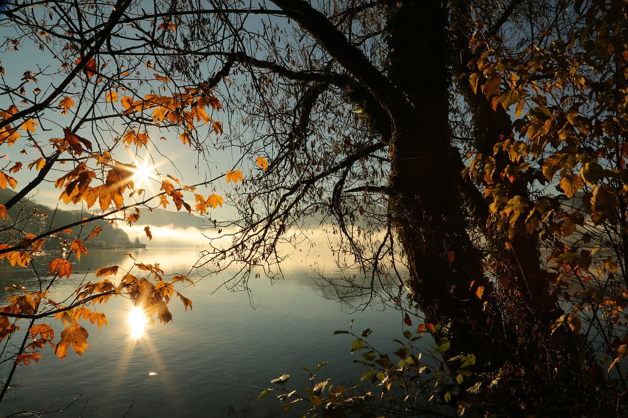 landscape autumn nature free photo