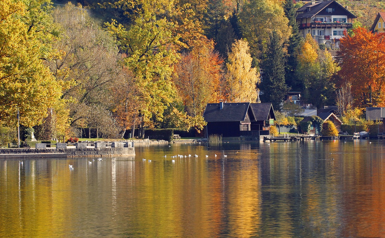 landscape autumn colorful free photo