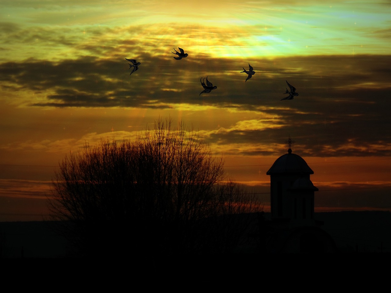 landscape sky birds free photo