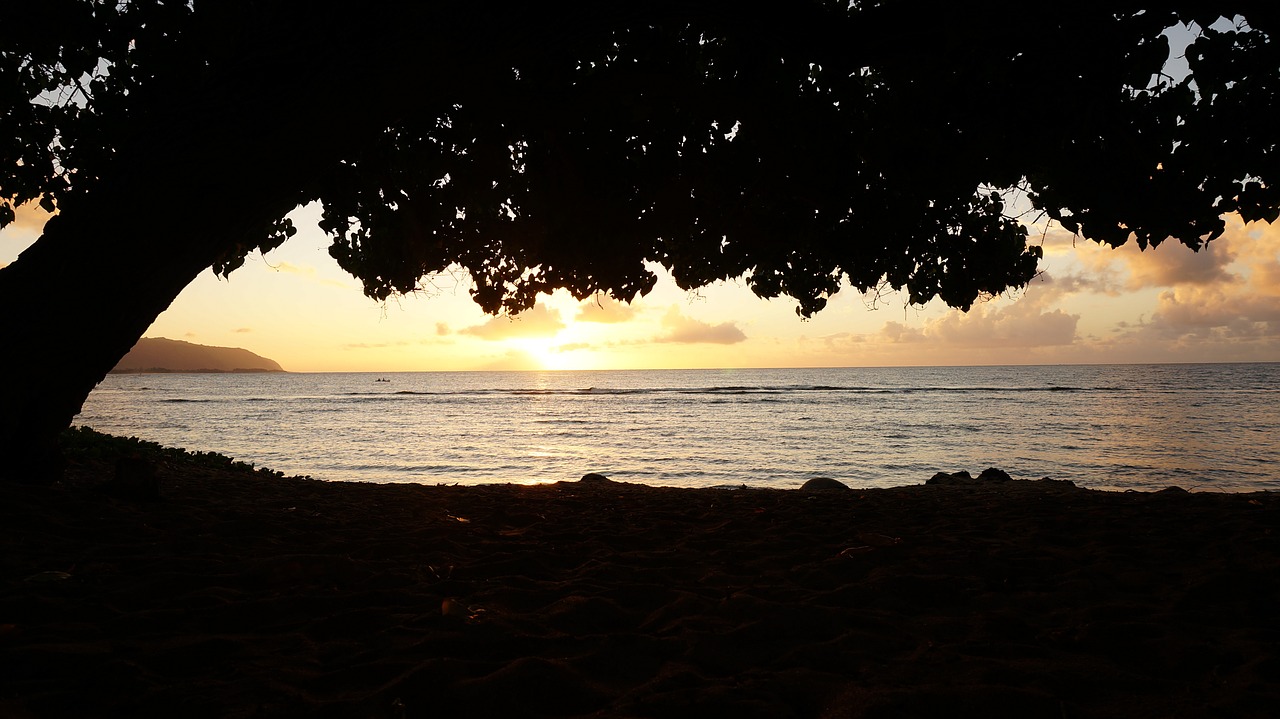 landscape the sea the evening sun free photo