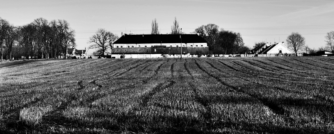 landscape field black and white free photo