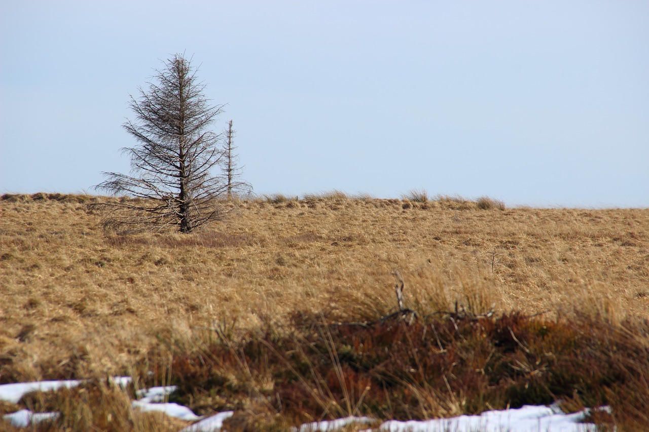 landscape venn belgium free photo