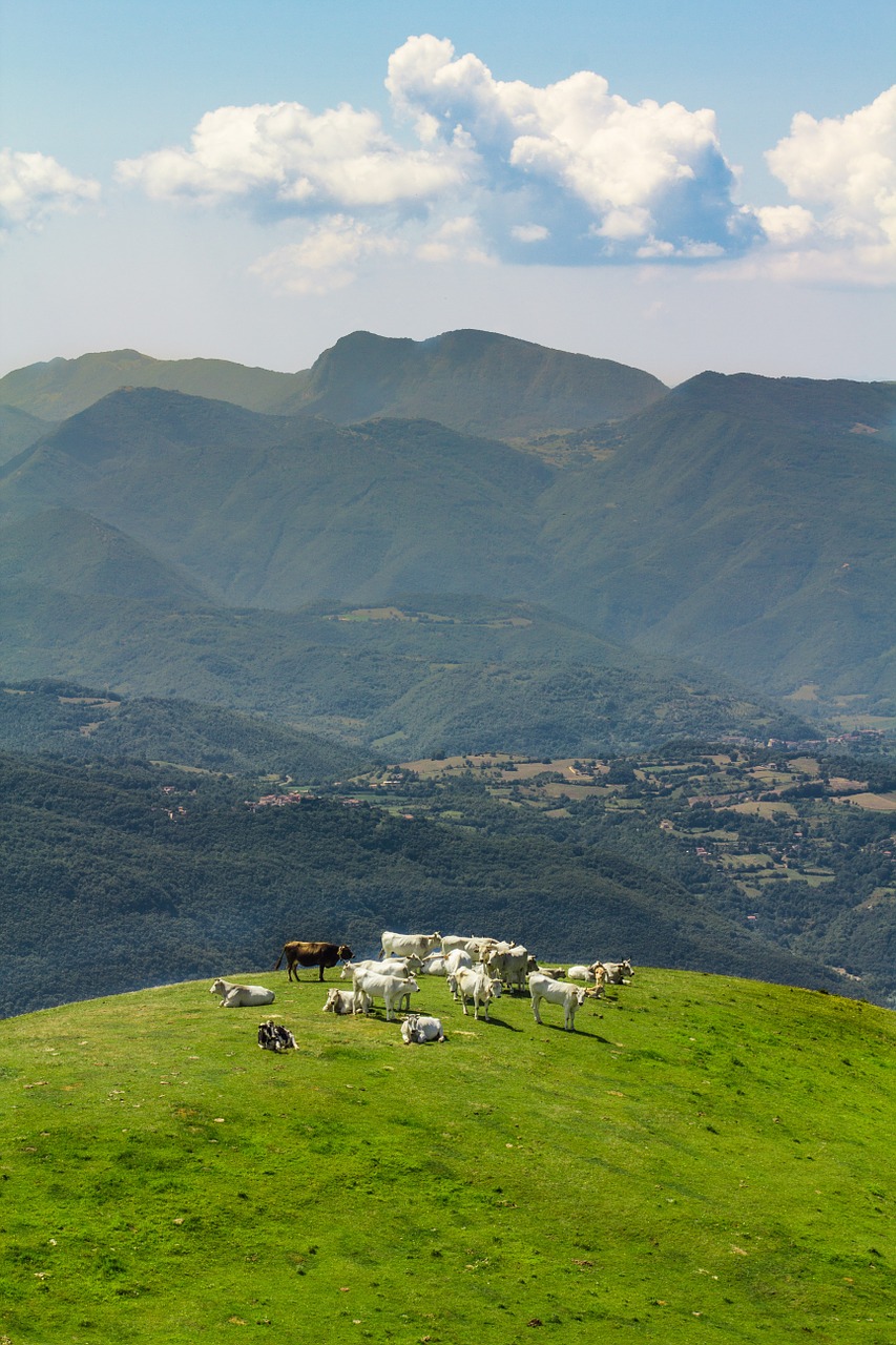 landscape italy nature free photo