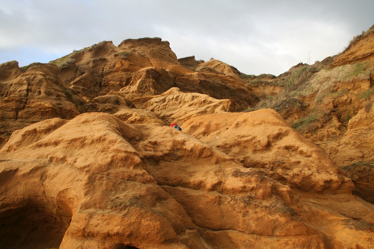 landscape dune beach free photo