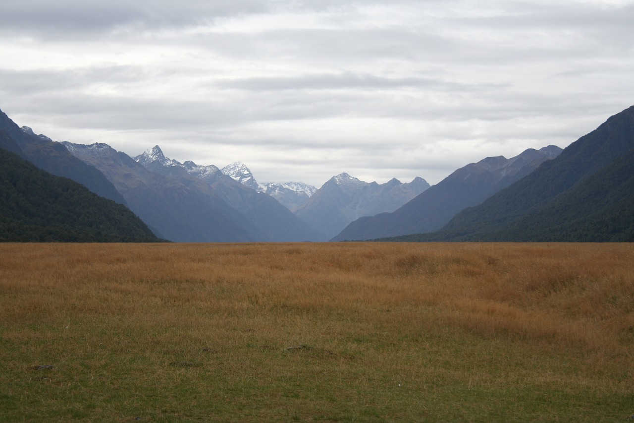 landscape nature meadow free photo