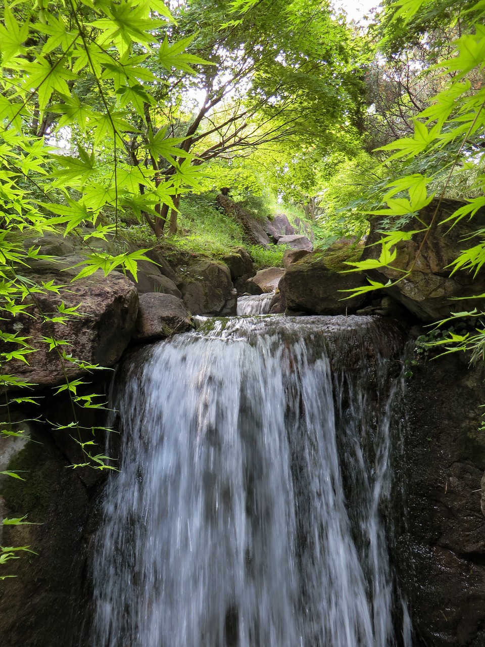 landscape nature water free photo