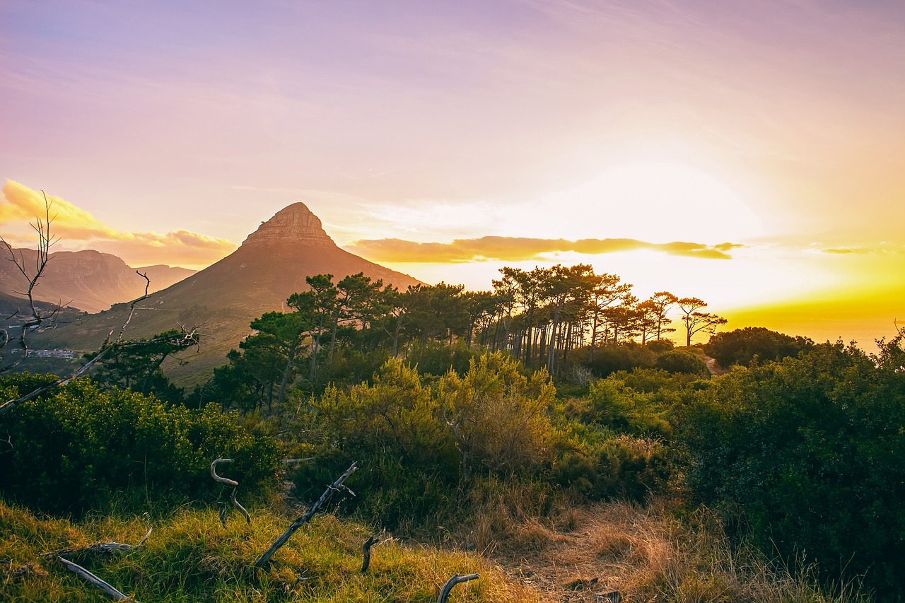 landscape mountain forest free photo