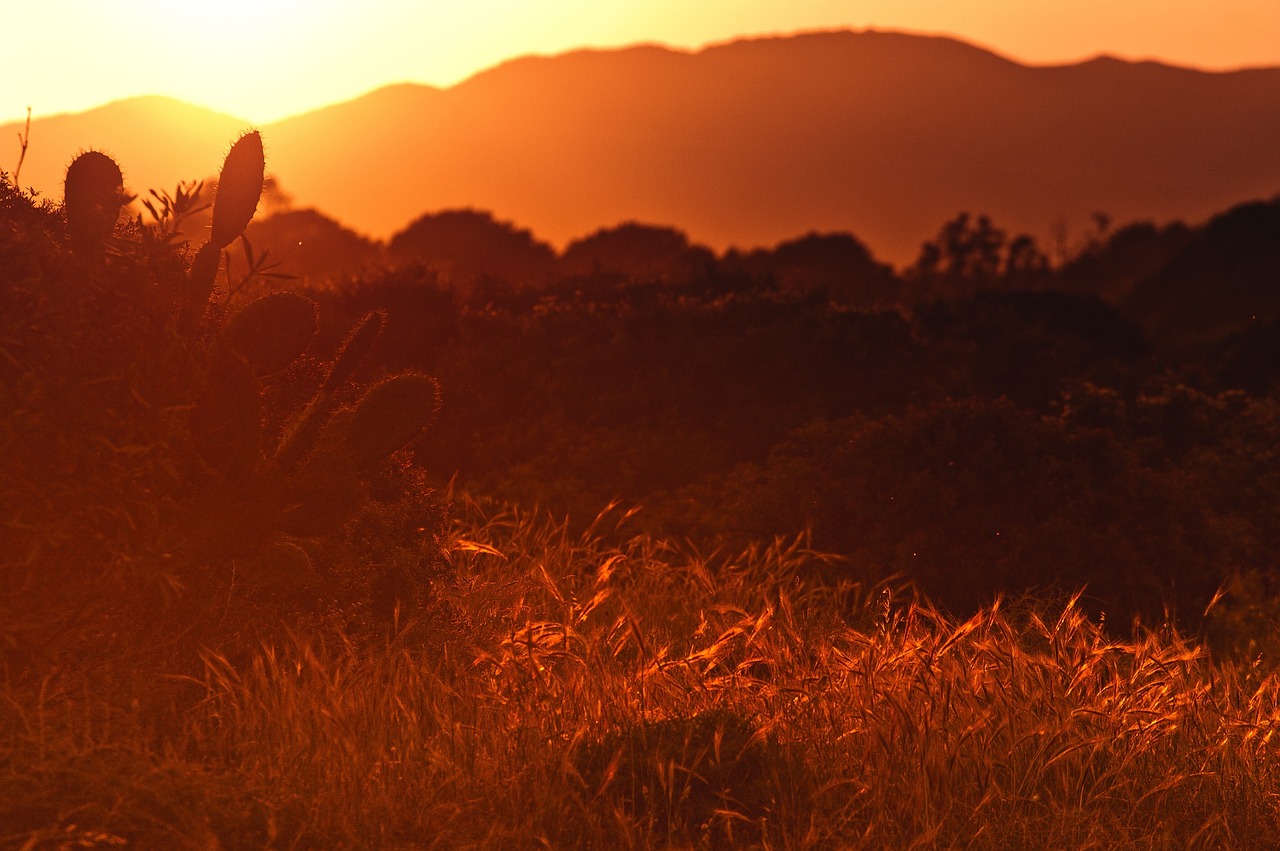 landscape sunset sunrise free photo