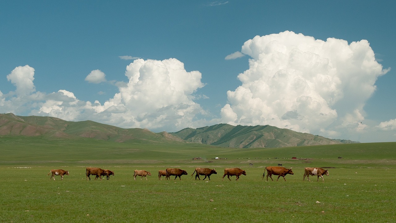 landscape clouds sky free photo