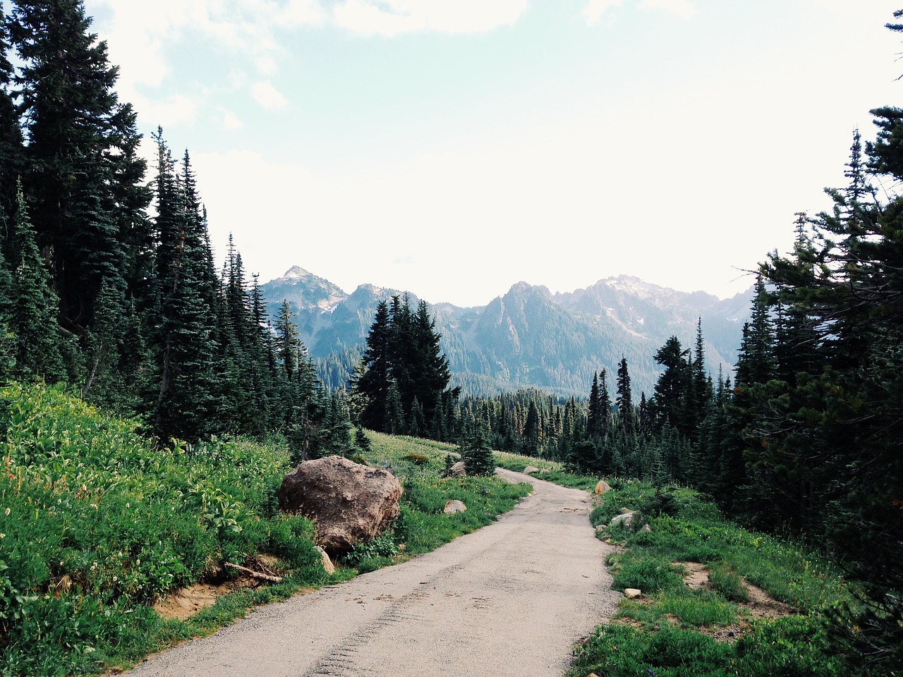 landscape path trail free photo