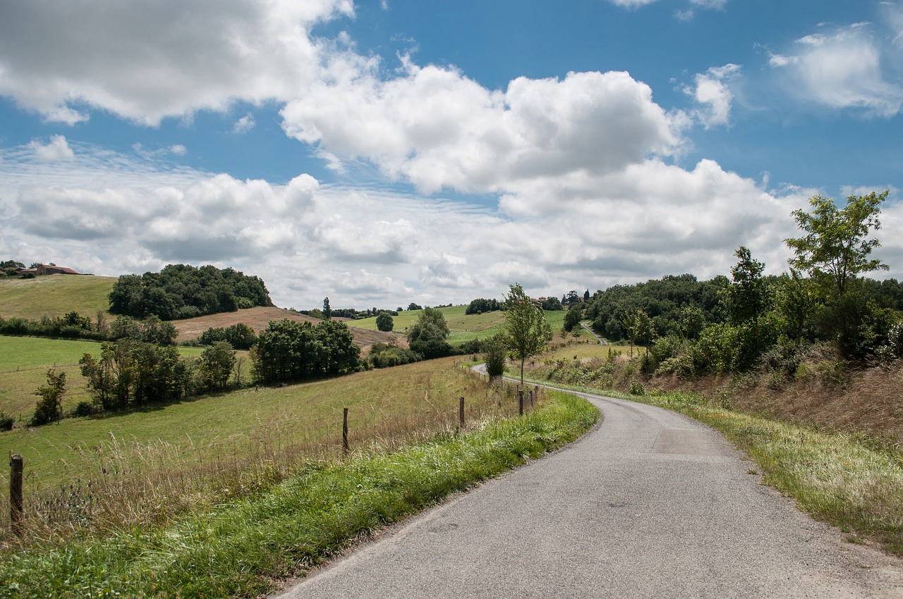 landscape road grass free photo