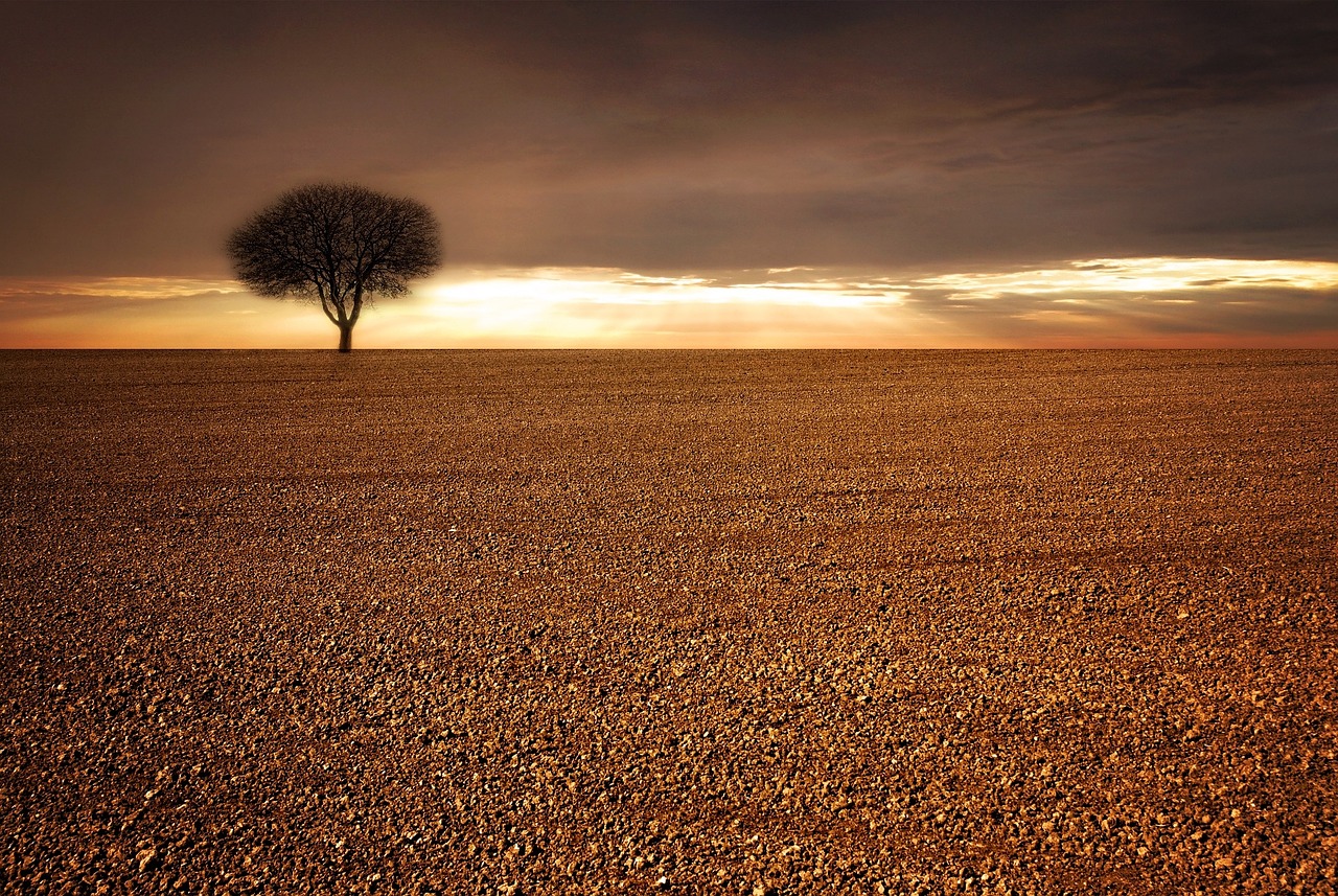 landscape field arable free photo