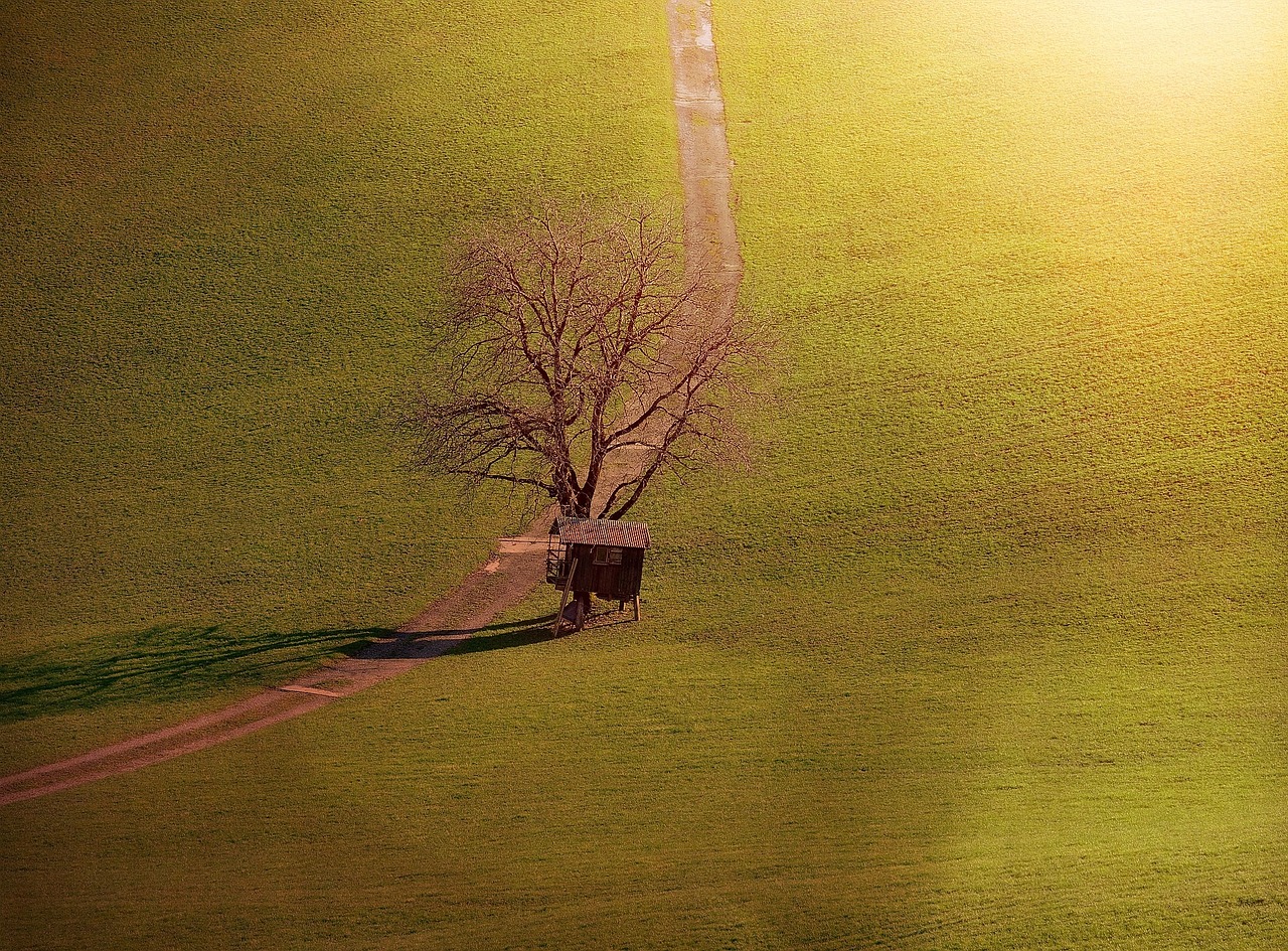 landscape tree hut free photo