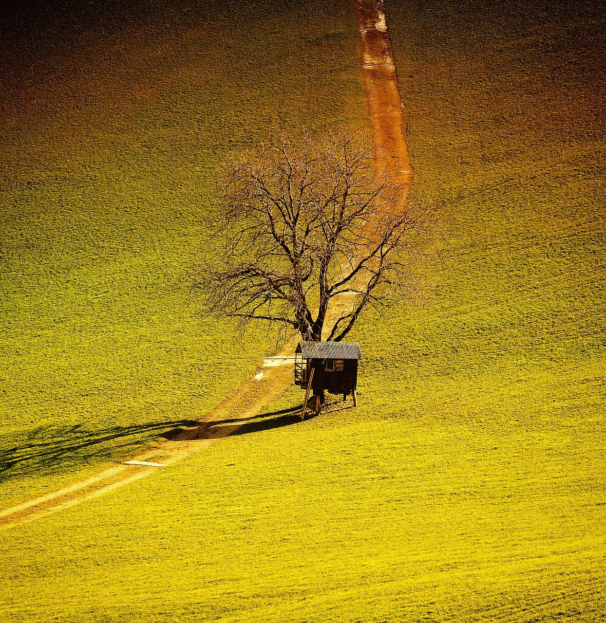 landscape away tree free photo