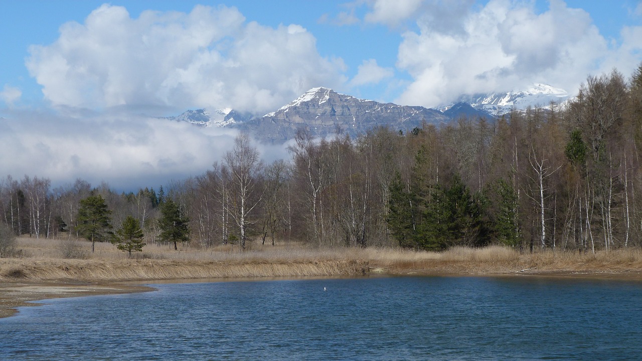 landscape nature pond free photo