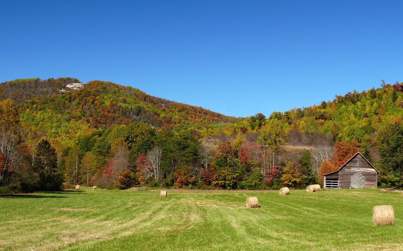 landscape meadow nature free photo