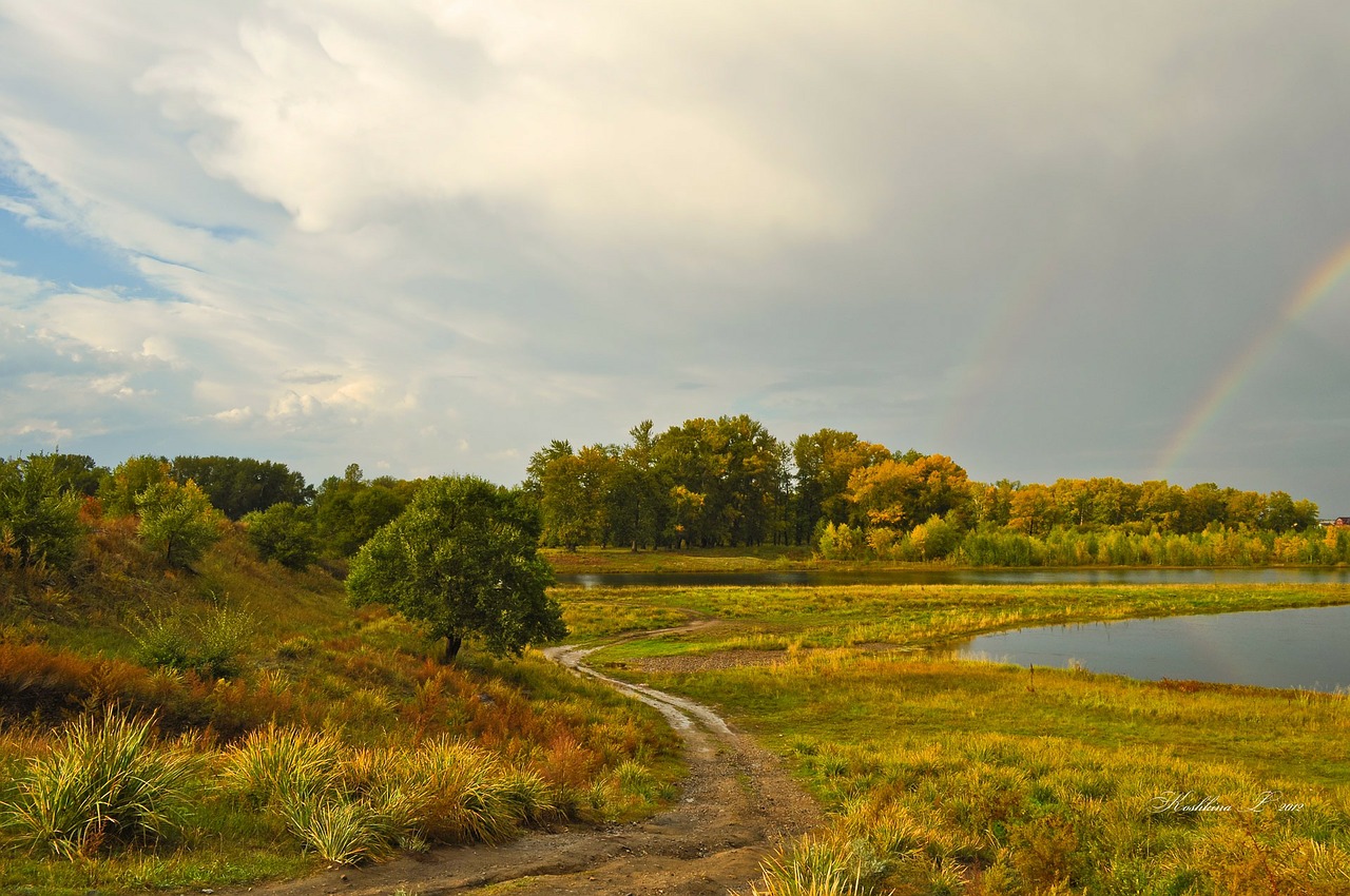 landscape nature fall free photo