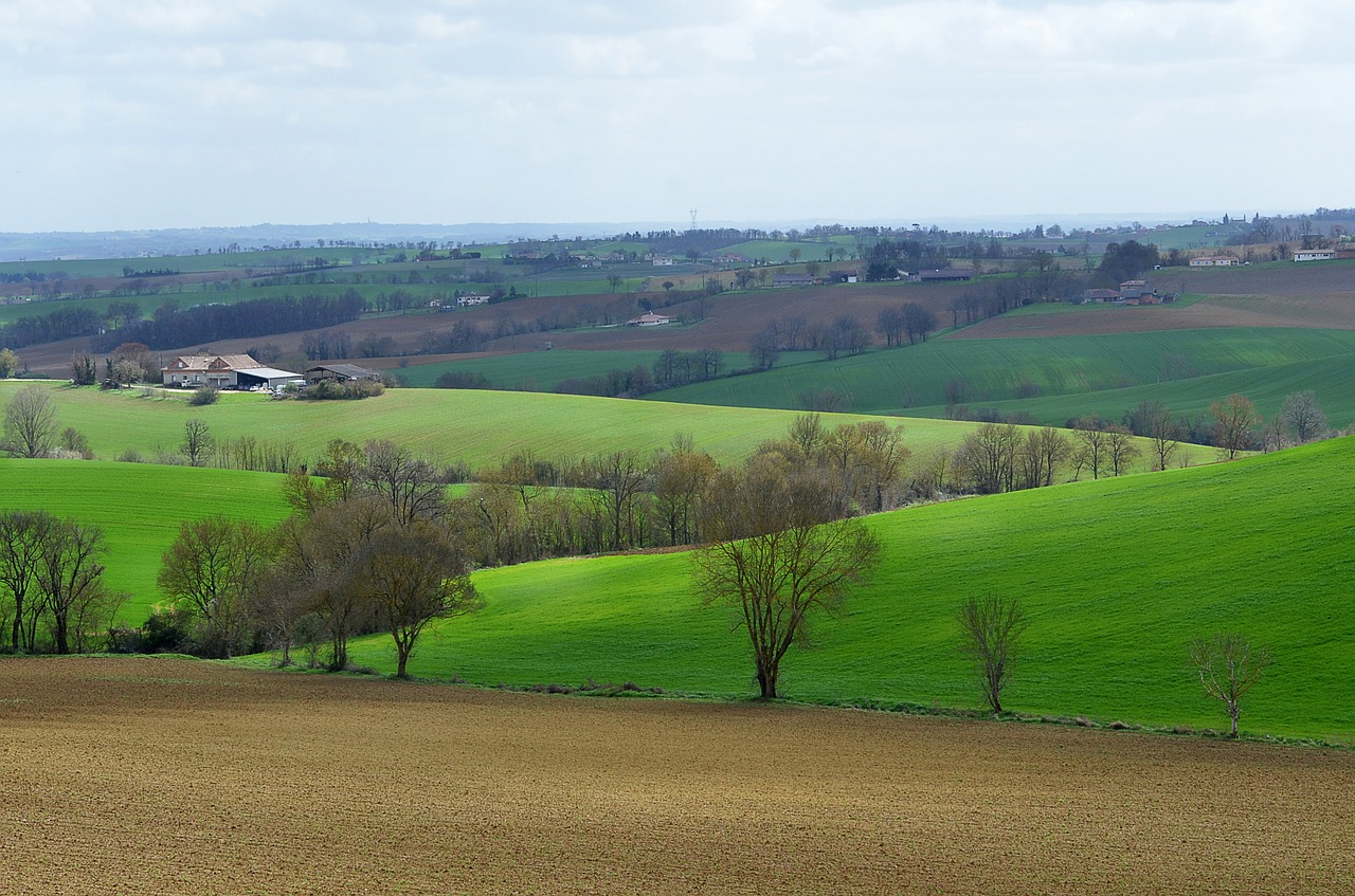 landscape field hills free photo