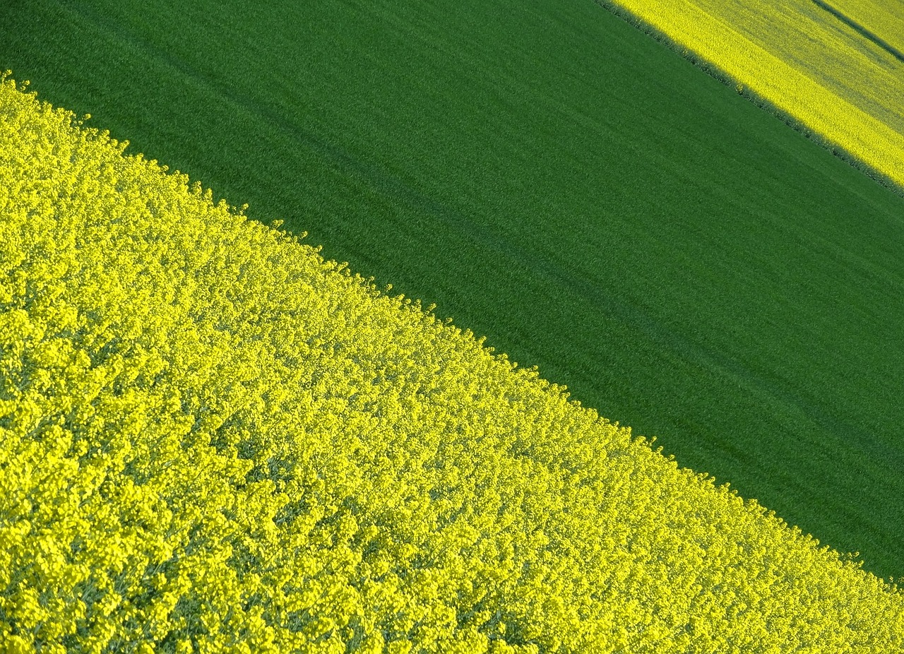 landscape color field free photo