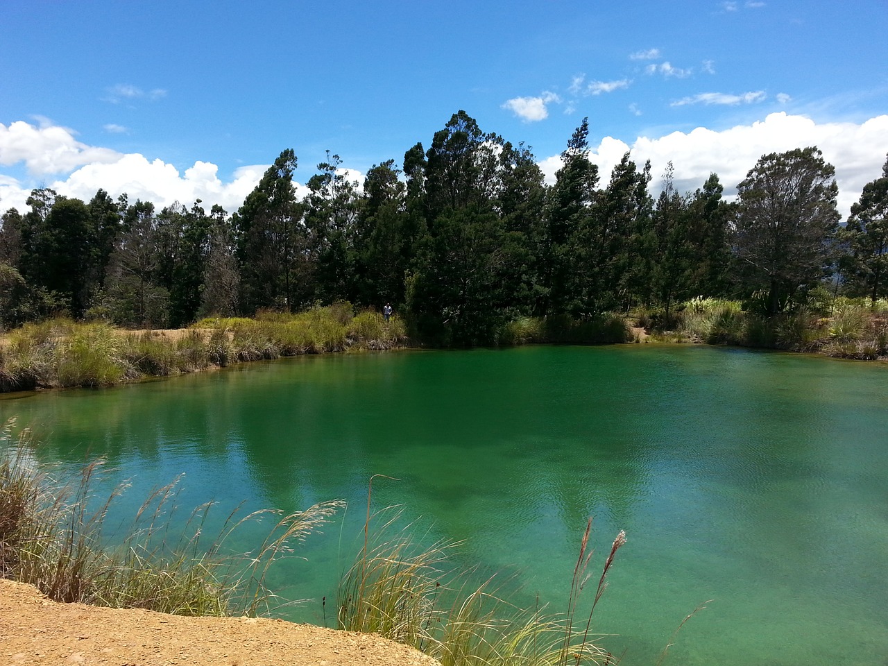 landscape field lake free photo