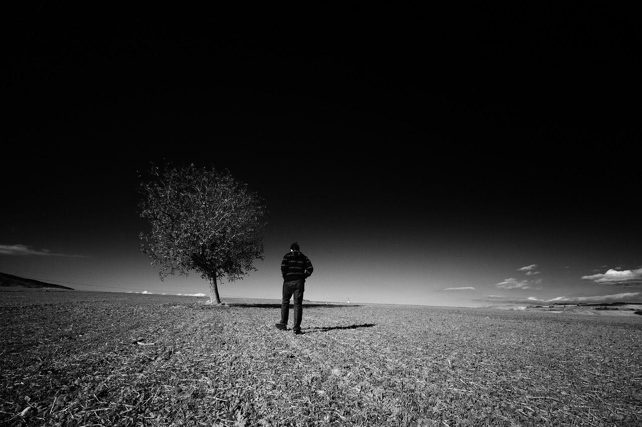 landscape solitude man free photo