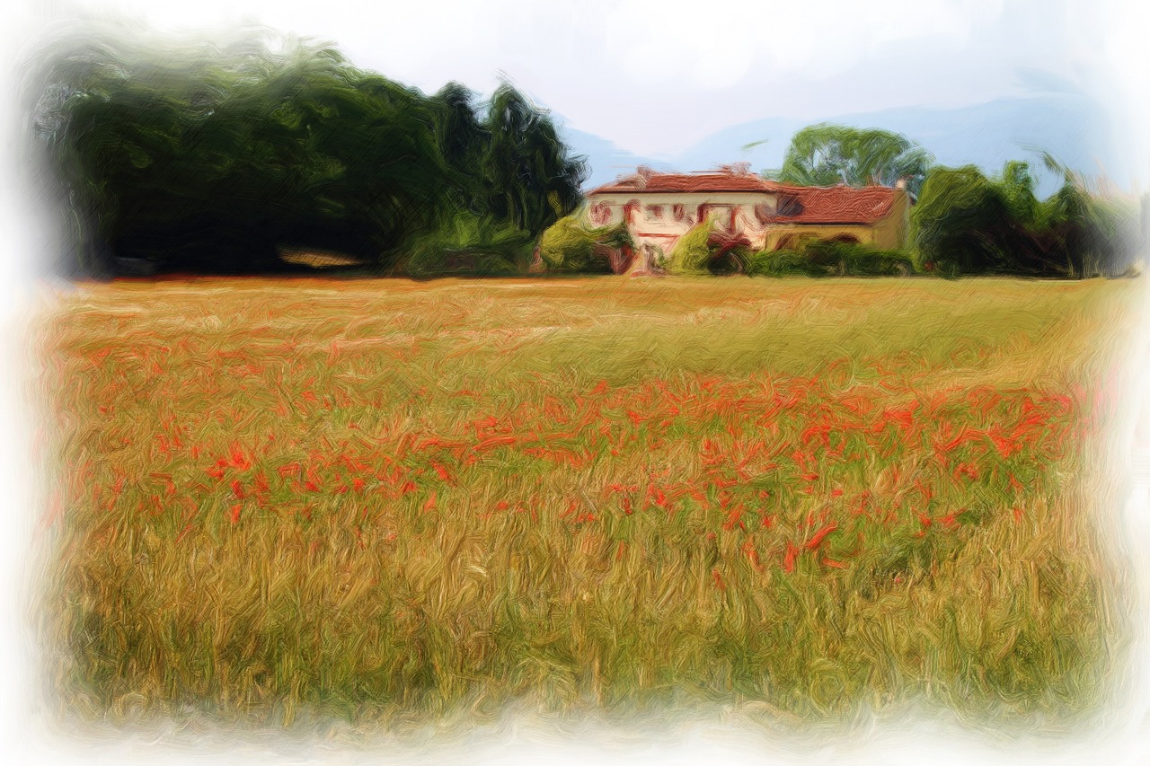 landscape painting wheat free photo