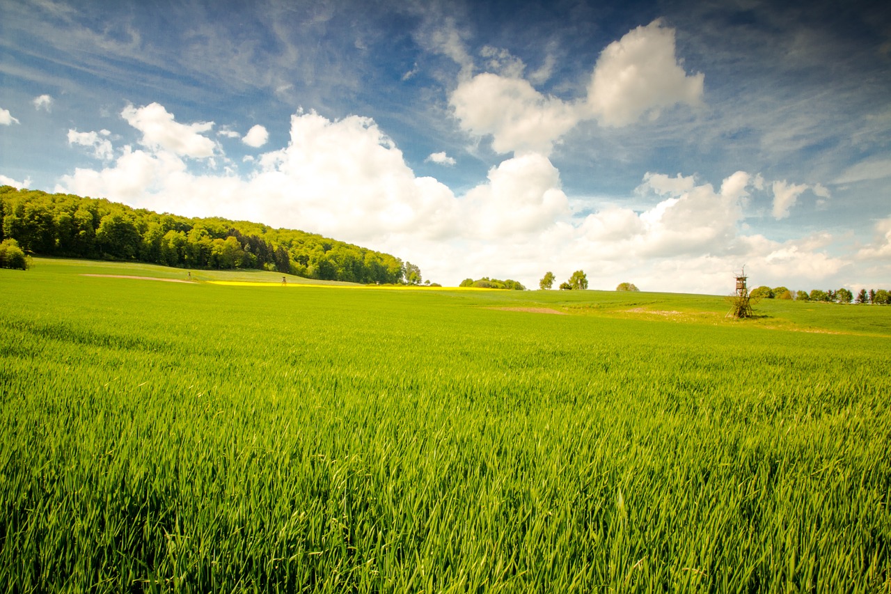 landscape sky clouds free photo