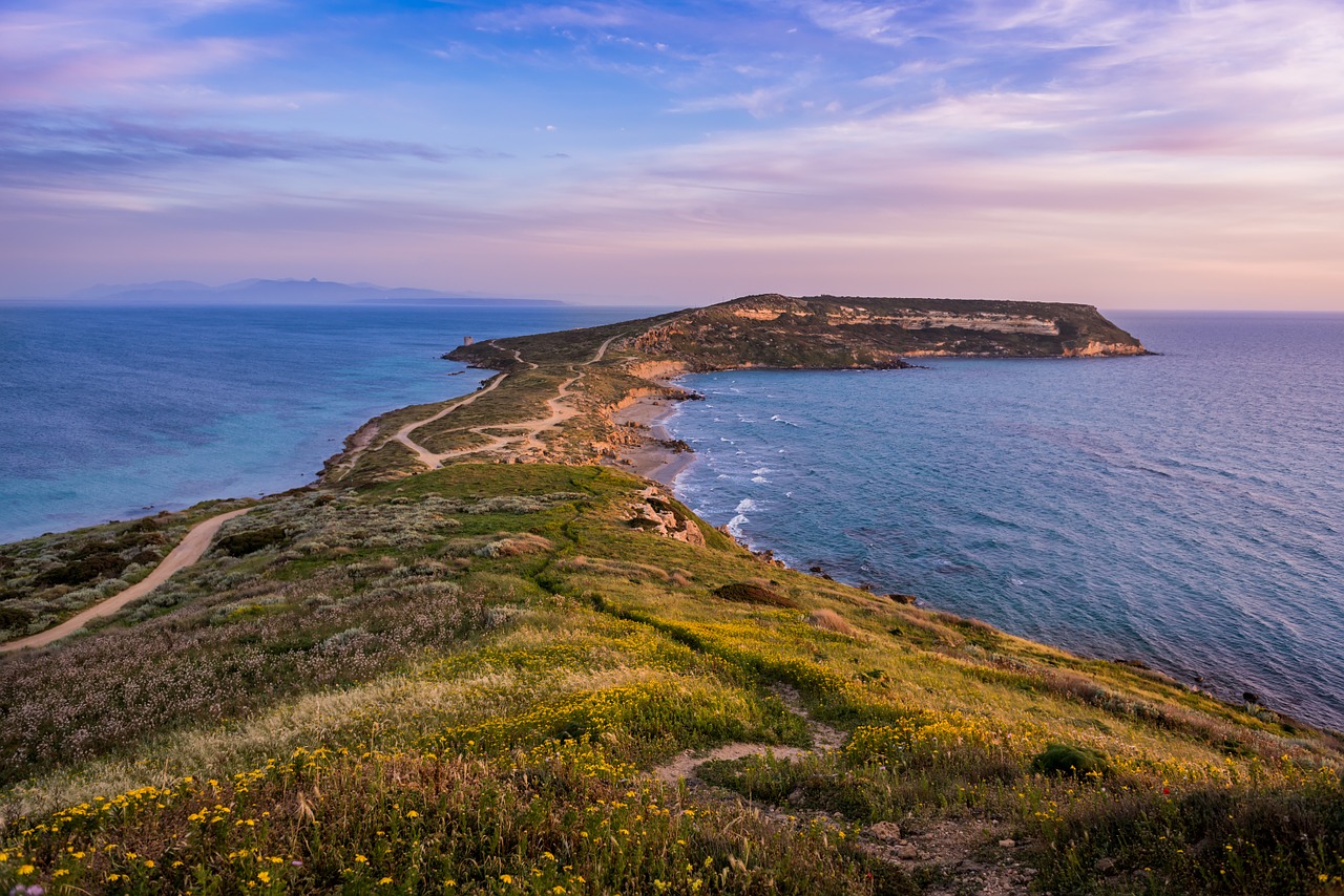 landscape coast shore free photo