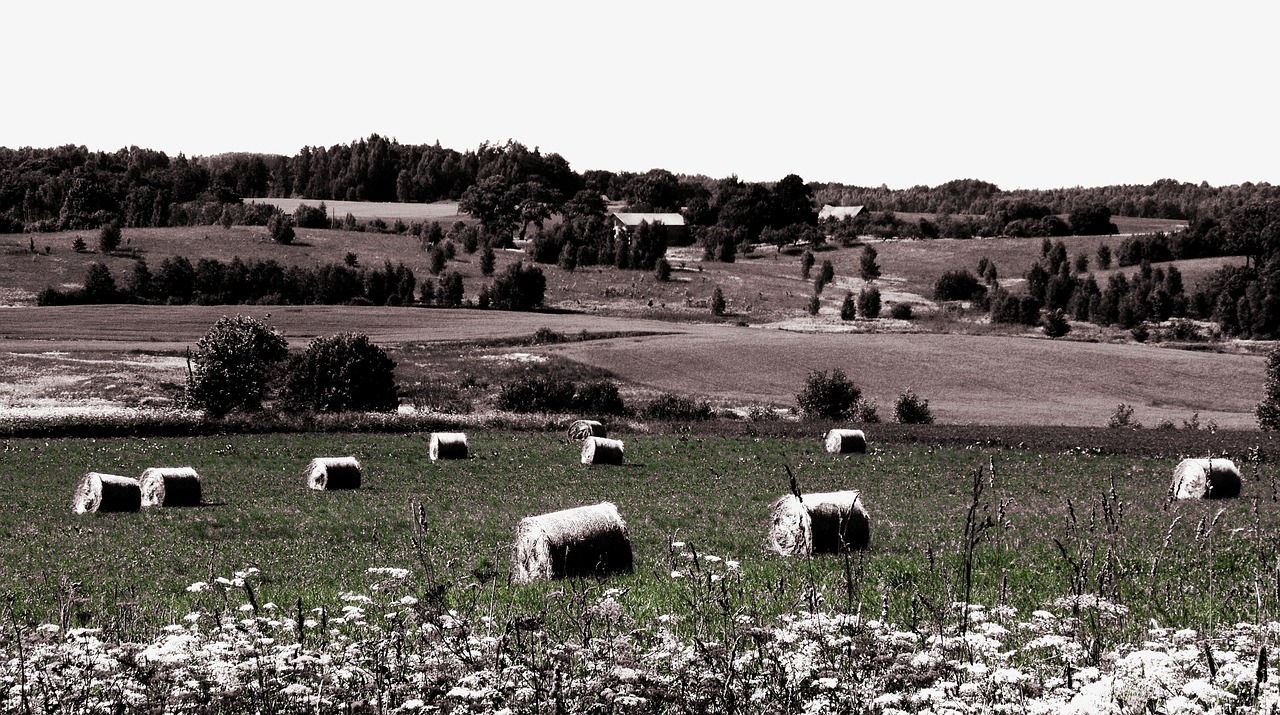landscape rural farm free photo