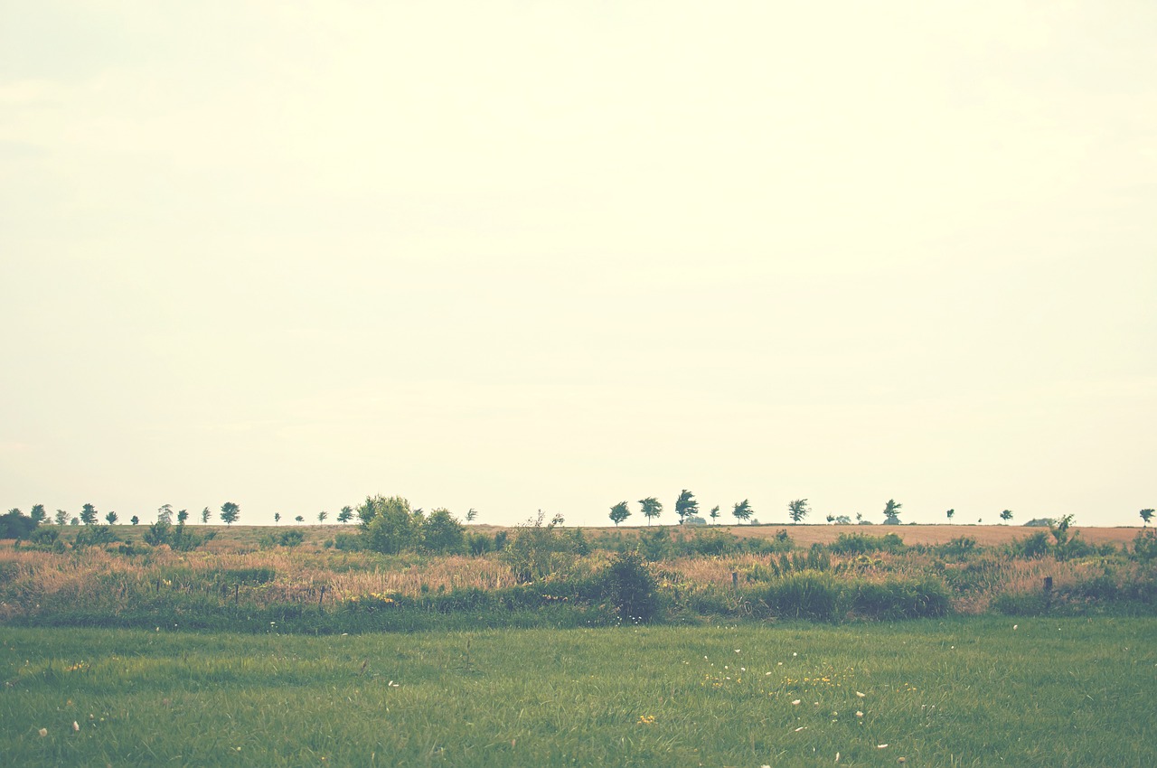 landscape rural meadow free photo