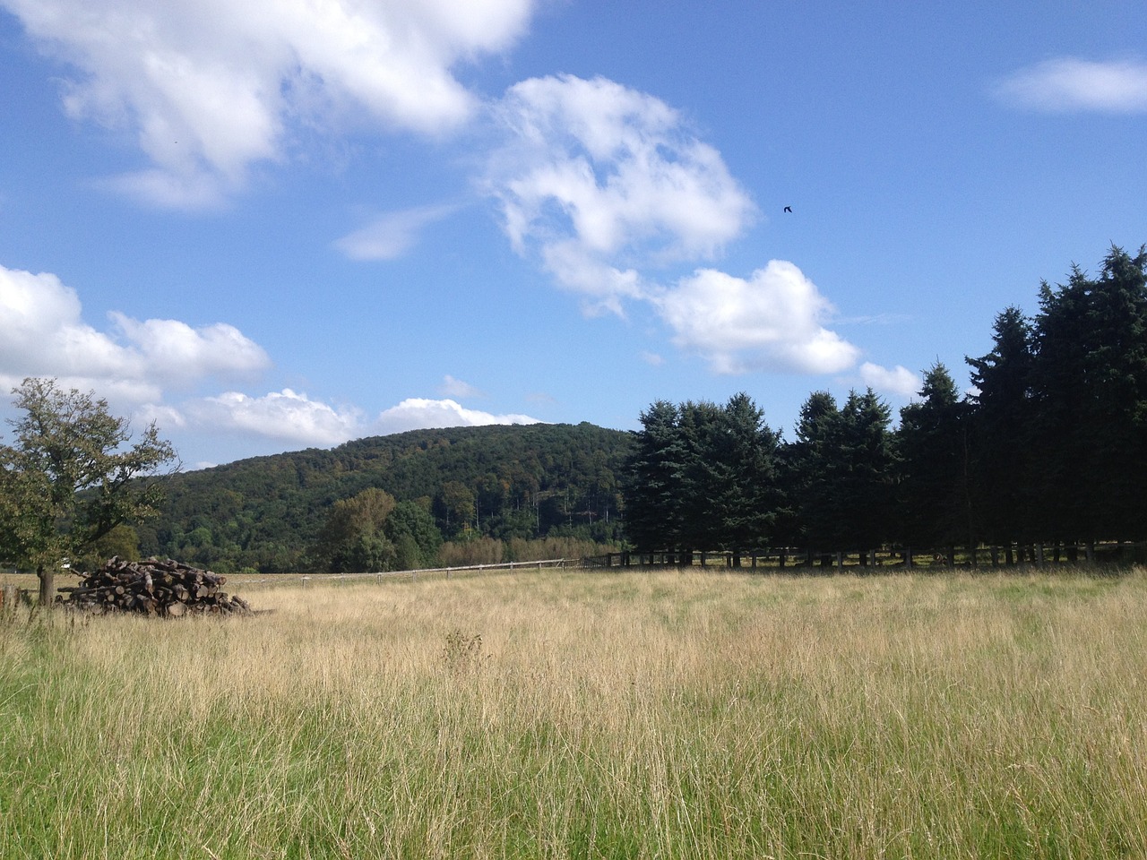 landscape hill meadow free photo