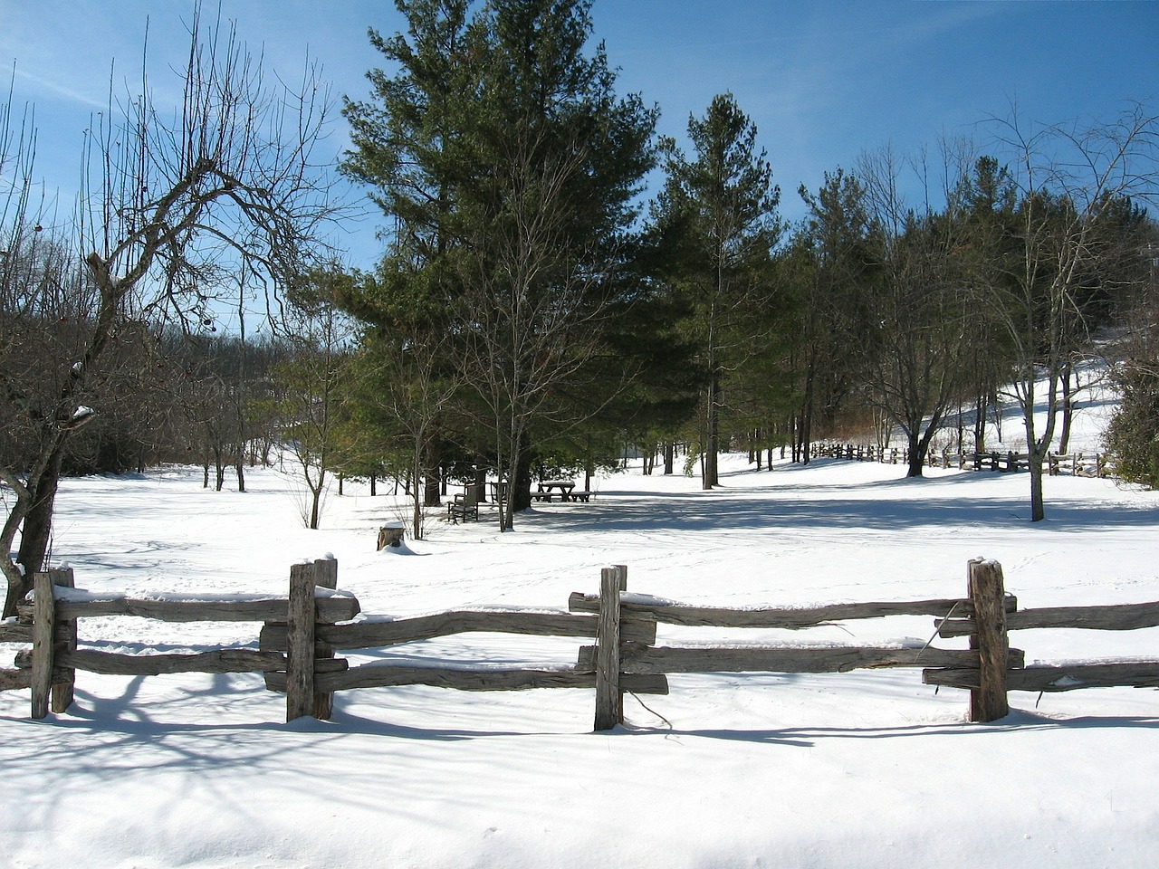 landscape north carolina seasons free photo