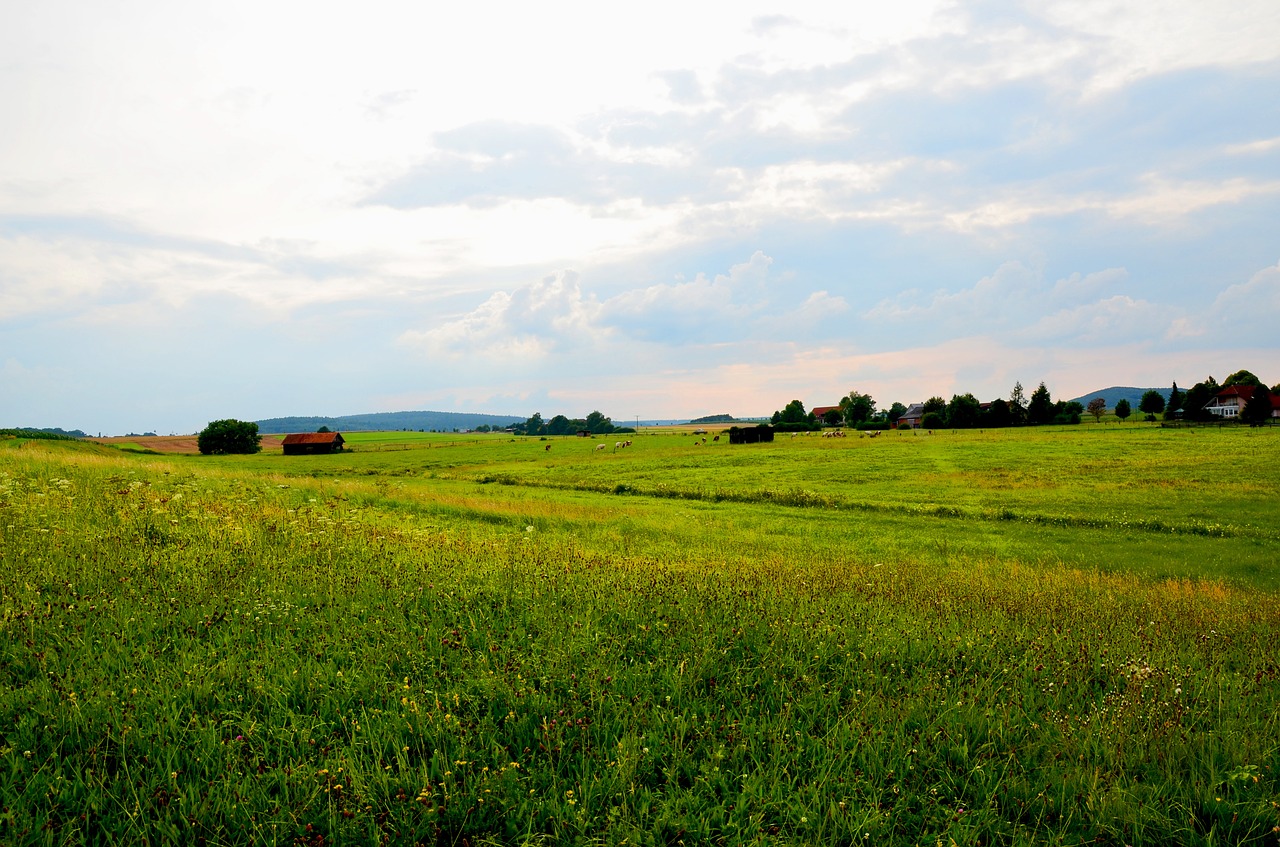 landscape sky grass free photo