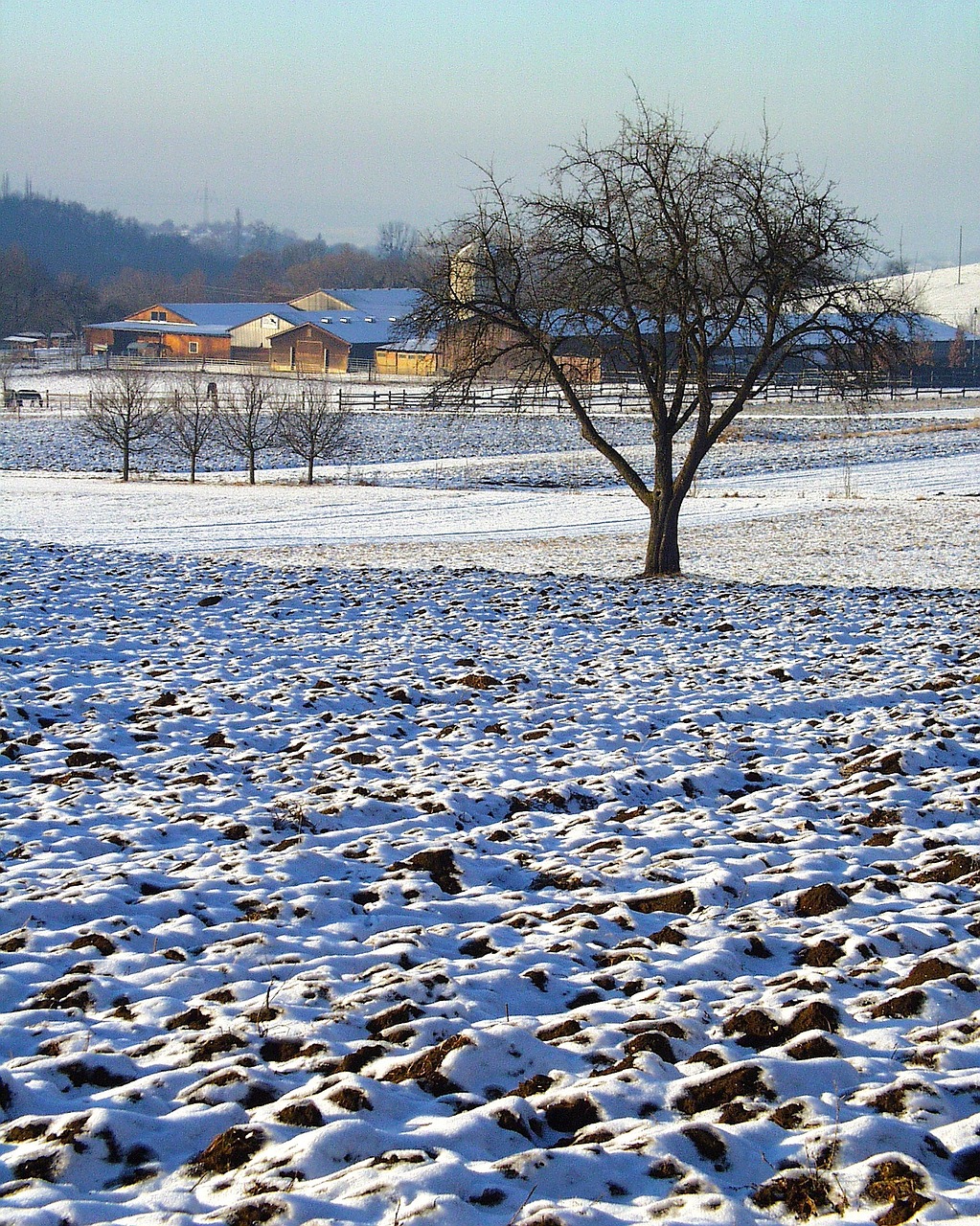 landscape farm rural free photo