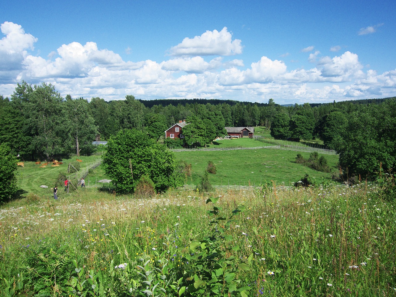 landscape farm sky free photo