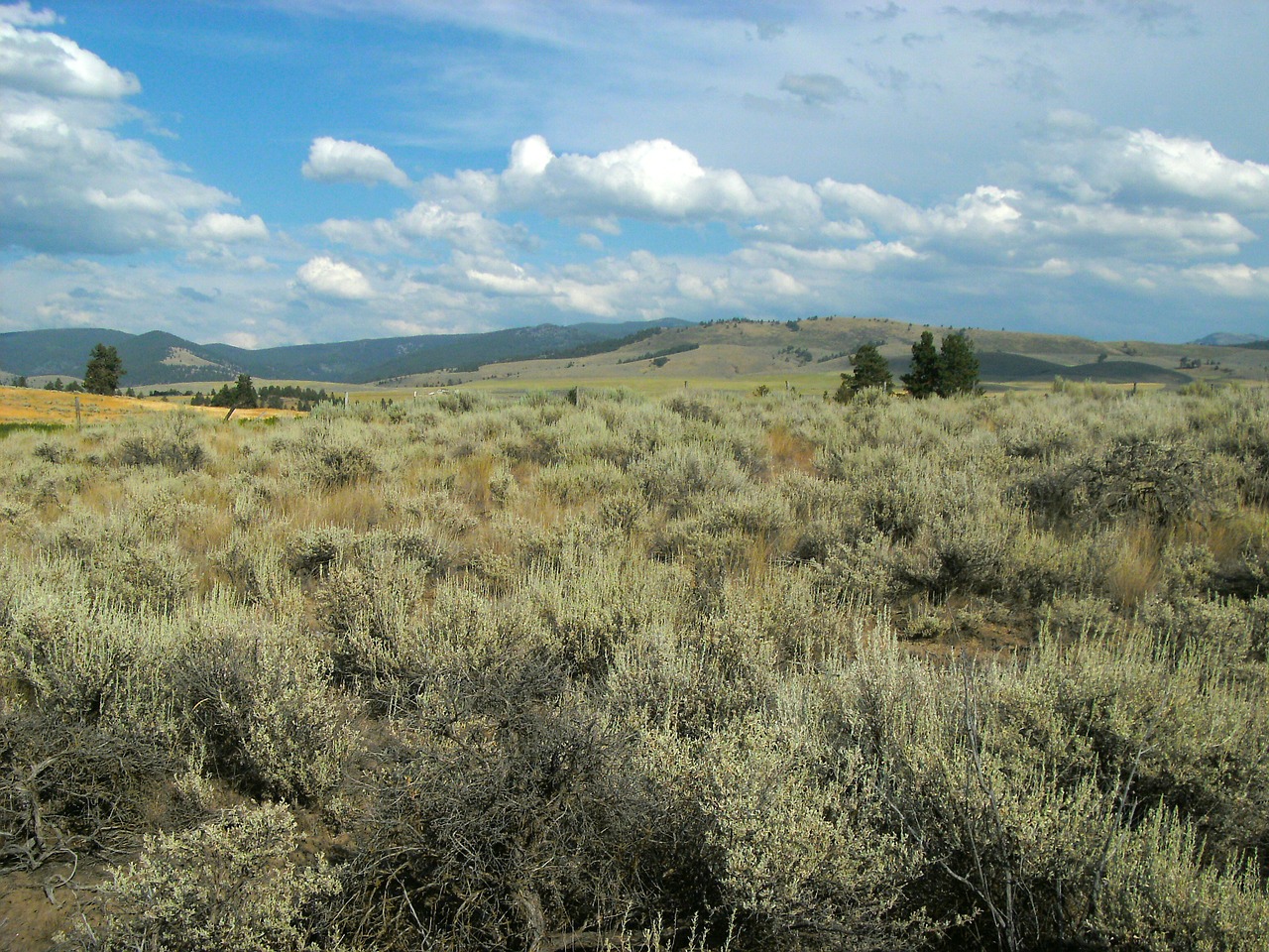 landscape montana mountains free photo