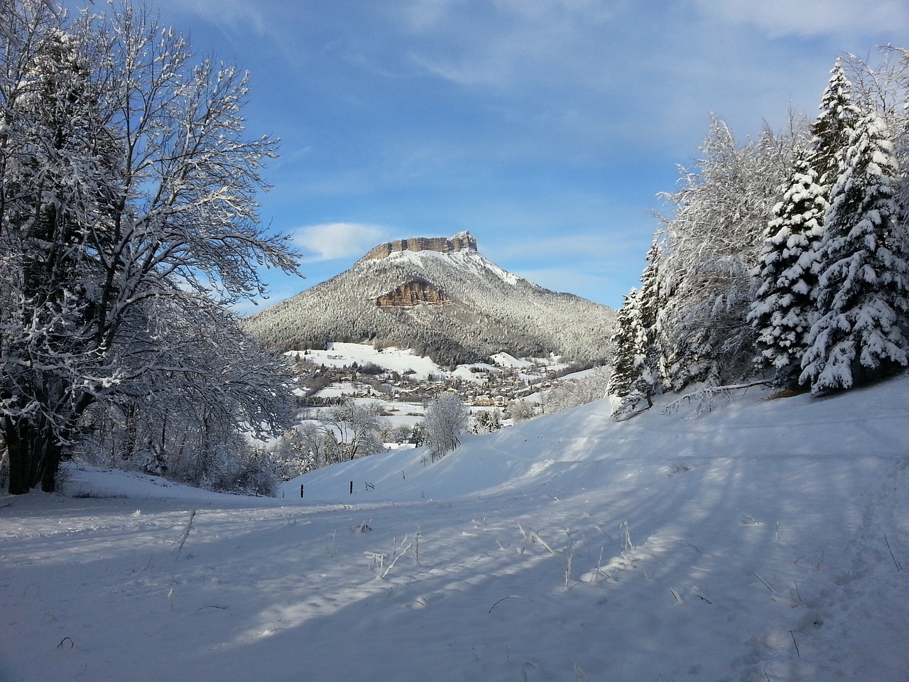 landscape snow rose free photo