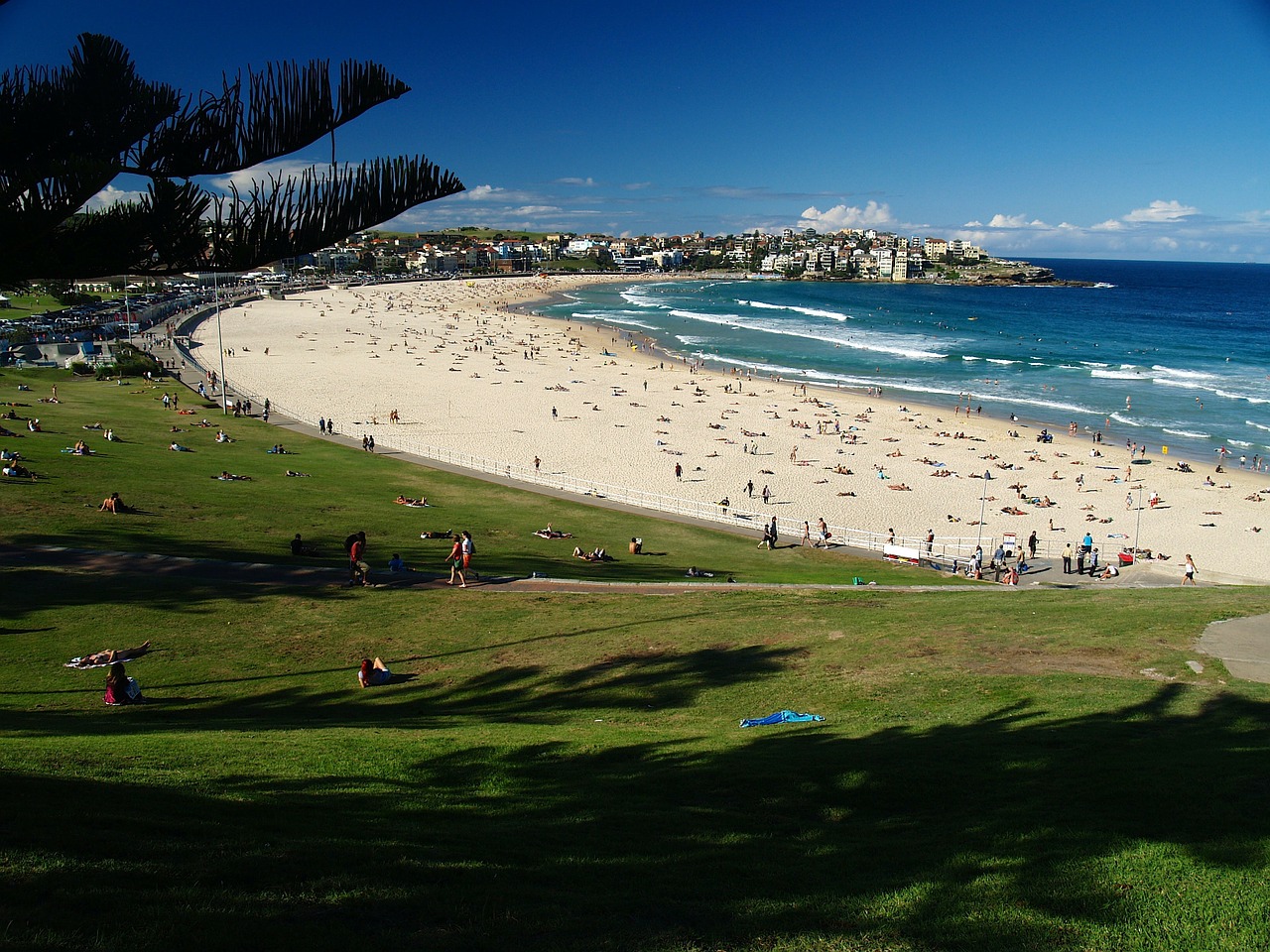 landscape australia beach free photo