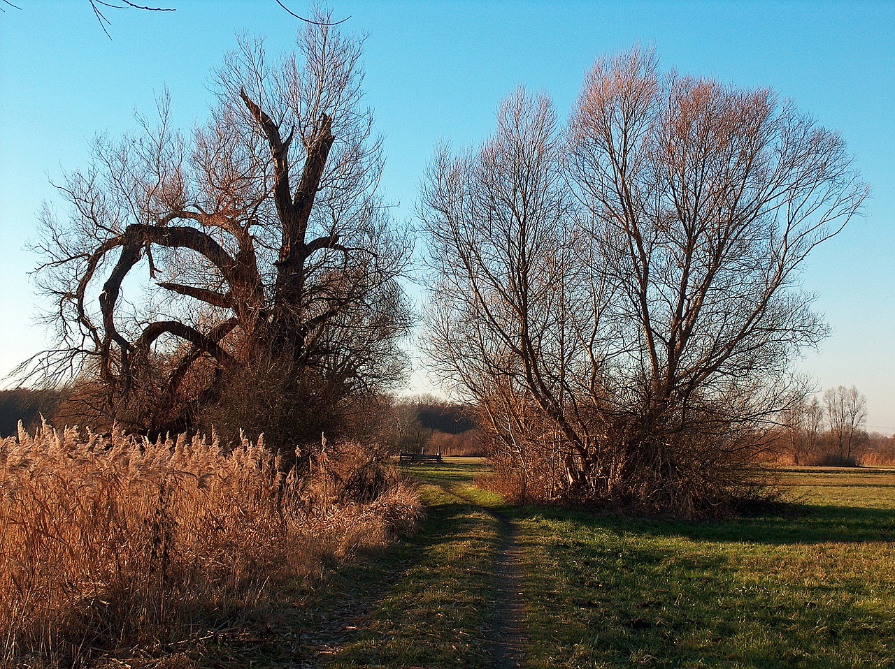 landscape fall autumn free photo