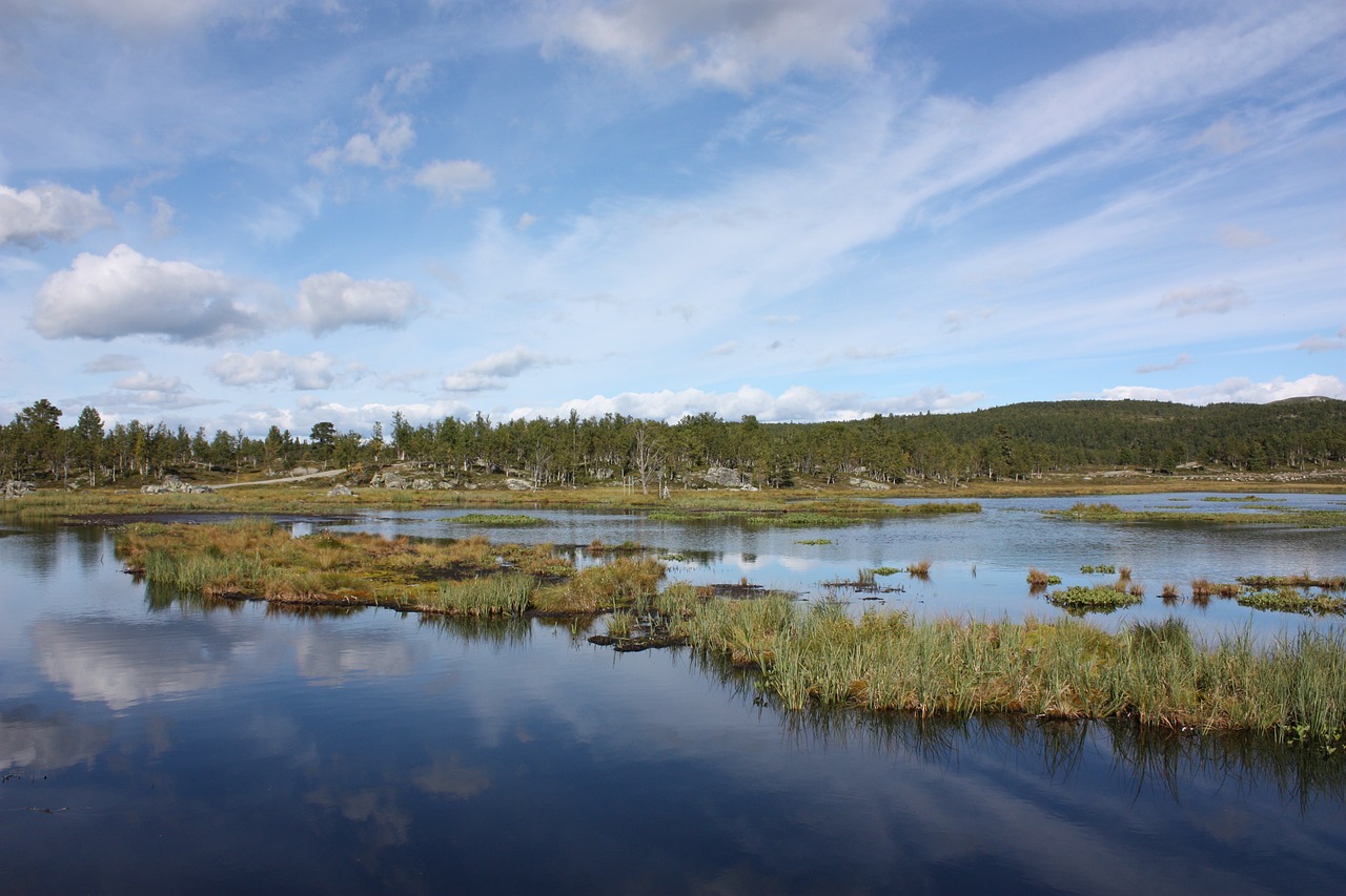 landscape the nature of the water free photo