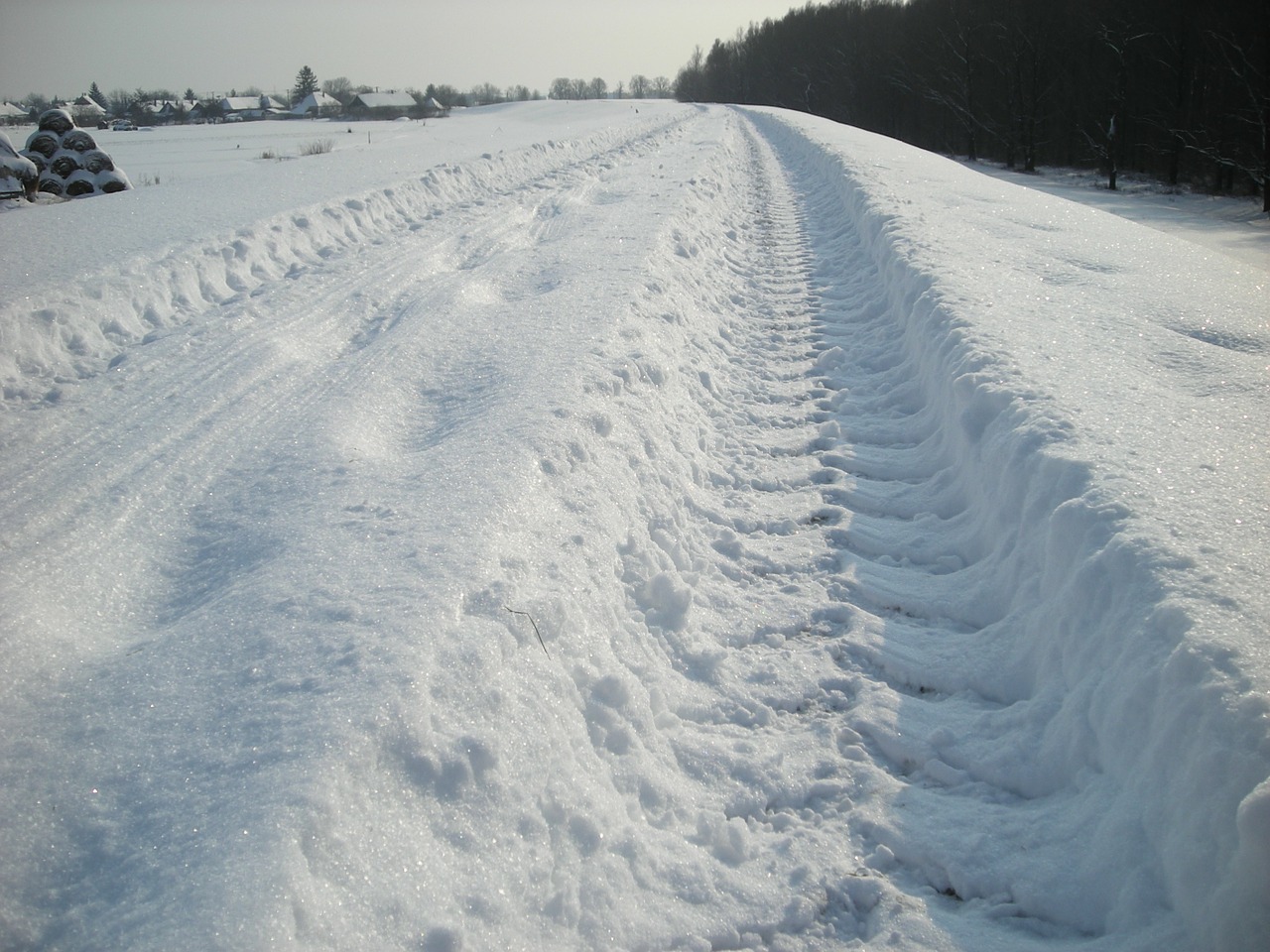 landscape winter snow free photo