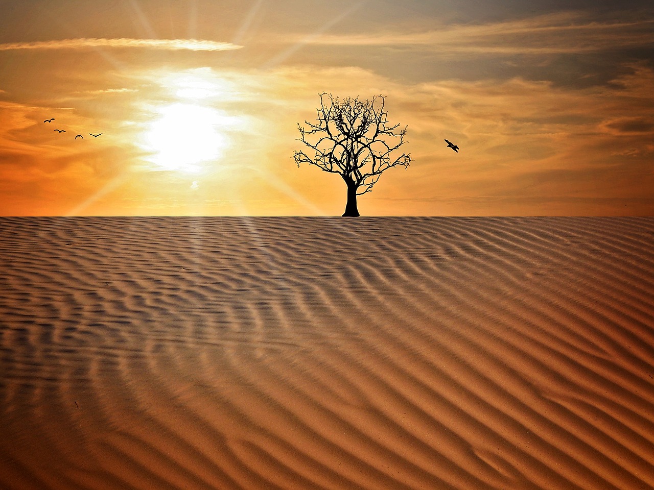 landscape sand drought free photo