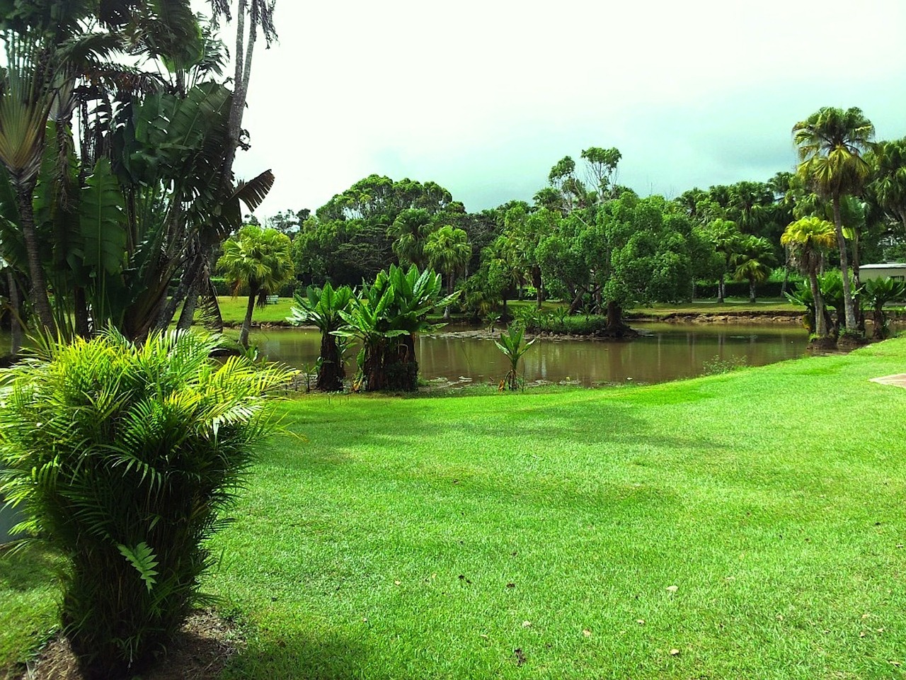 landscape grass trees free photo