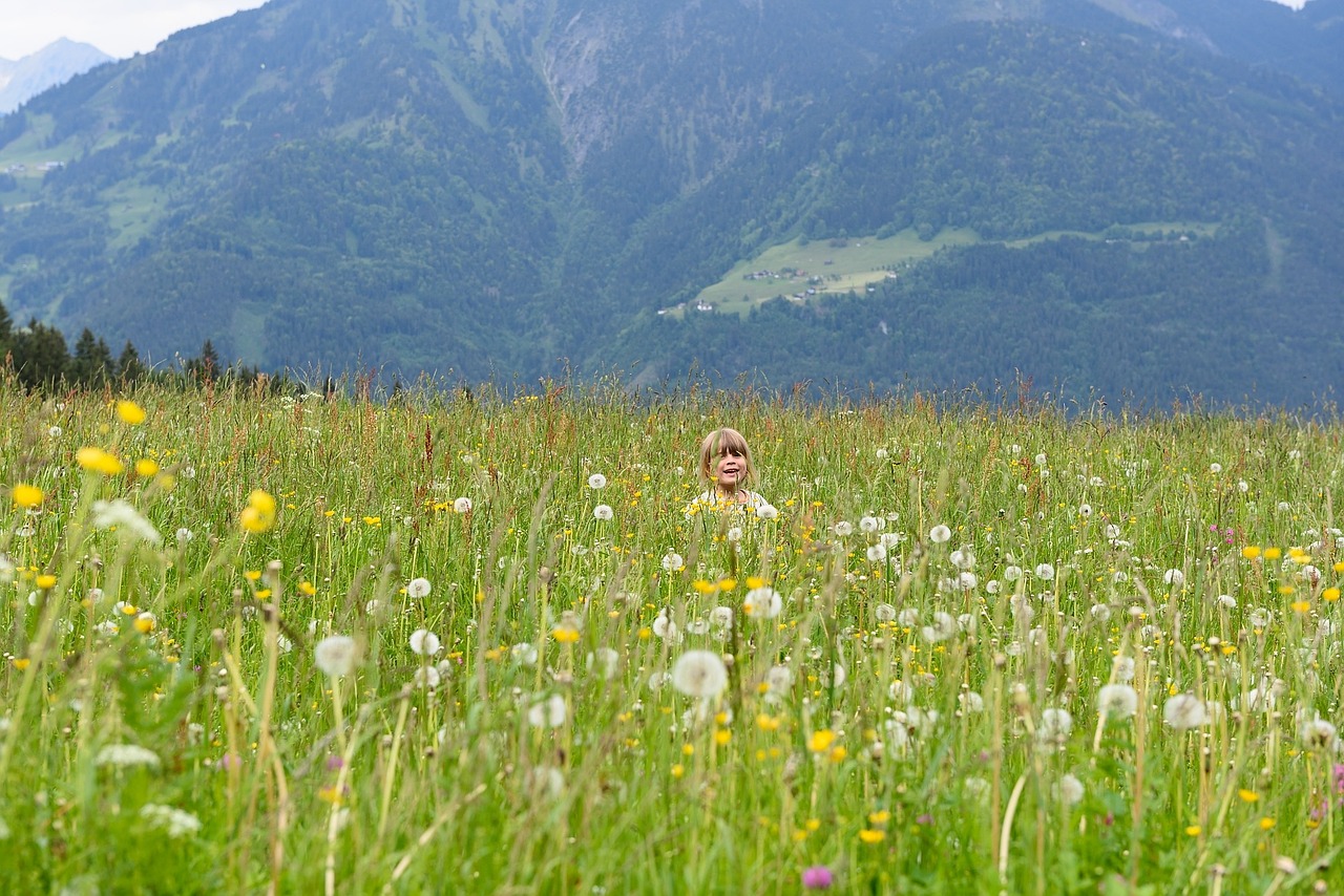 landscape meadow grass free photo