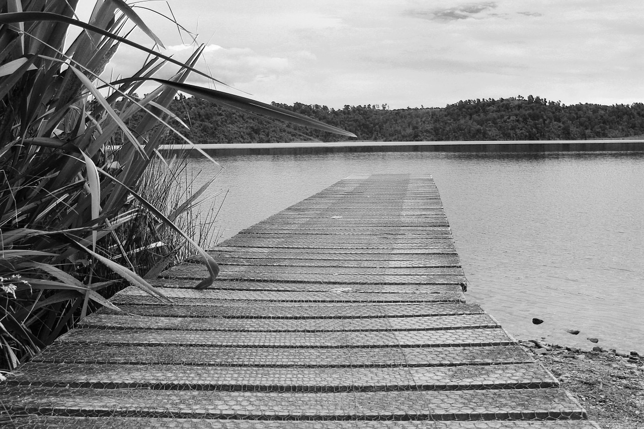 landscape bridge lake free photo