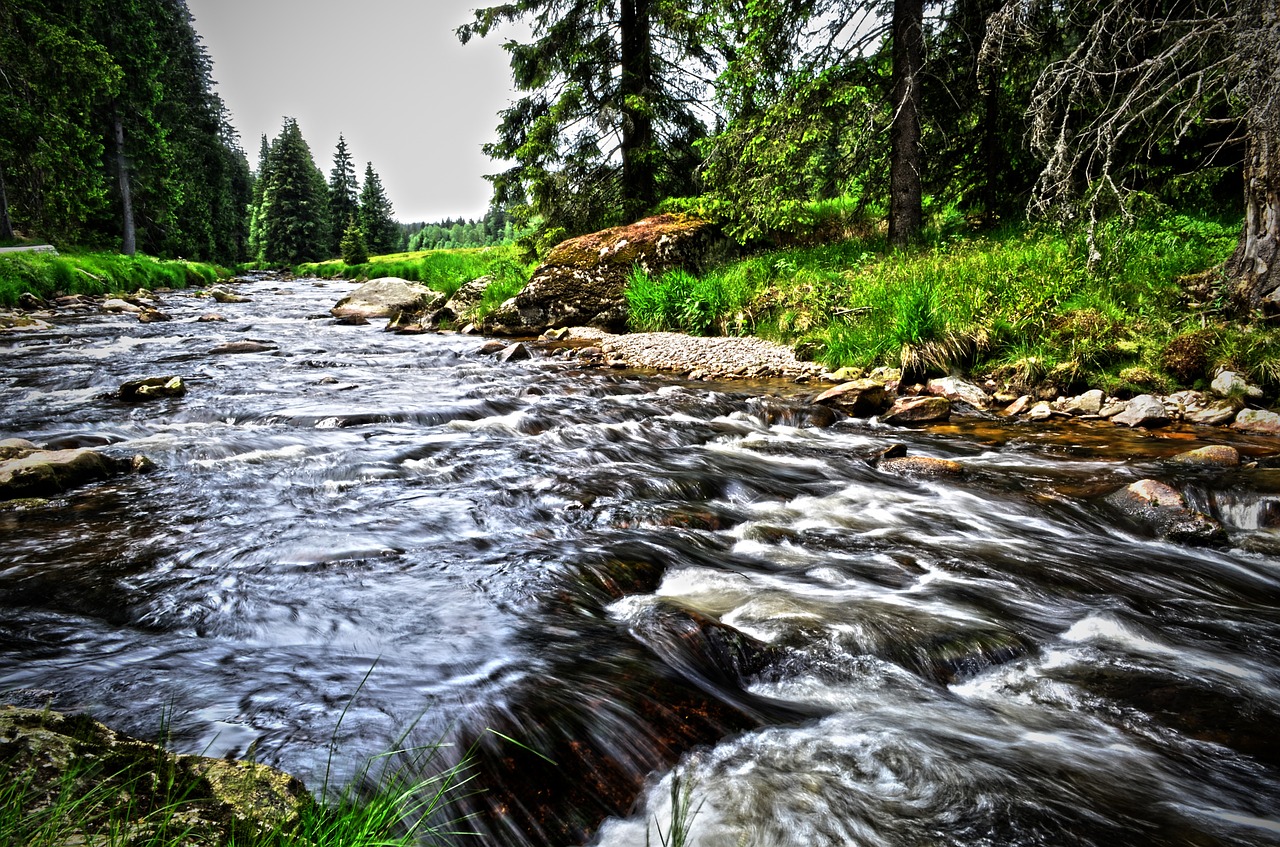 landscape nature river free photo