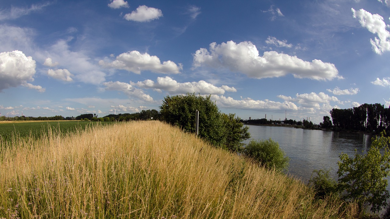 landscape rhine clouds free photo