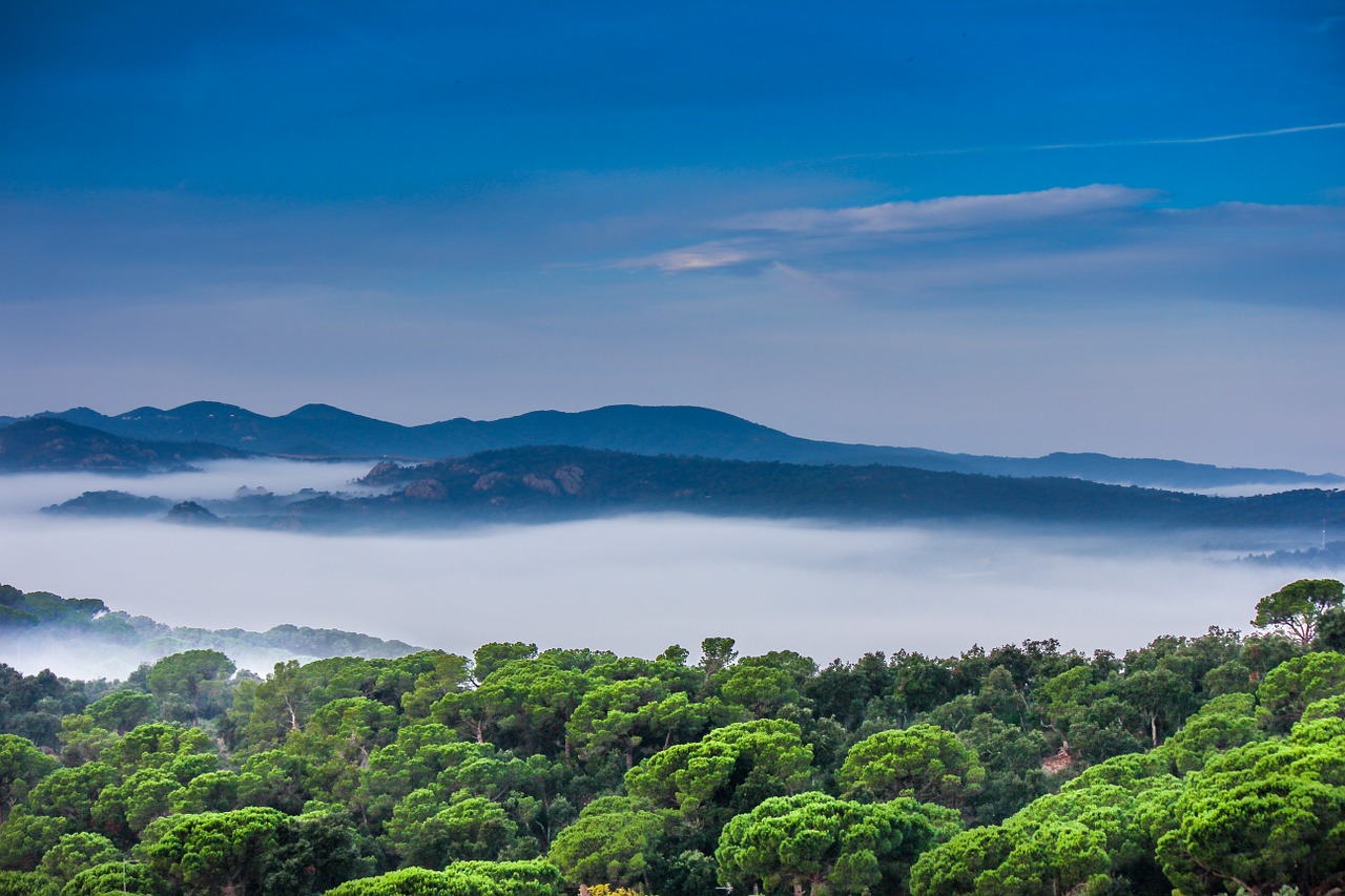 landscape nature fog free photo