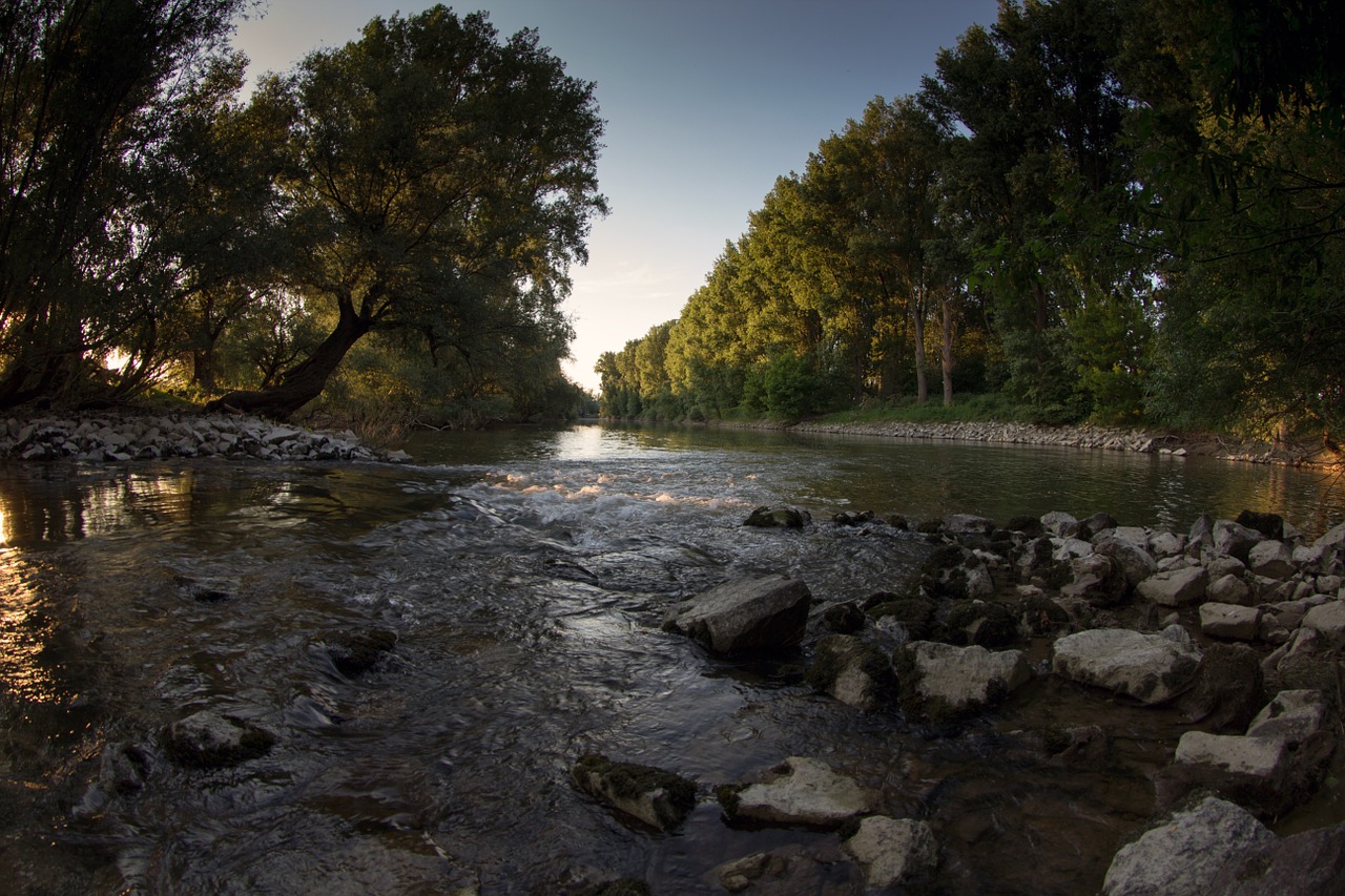 landscape rhine aue free photo