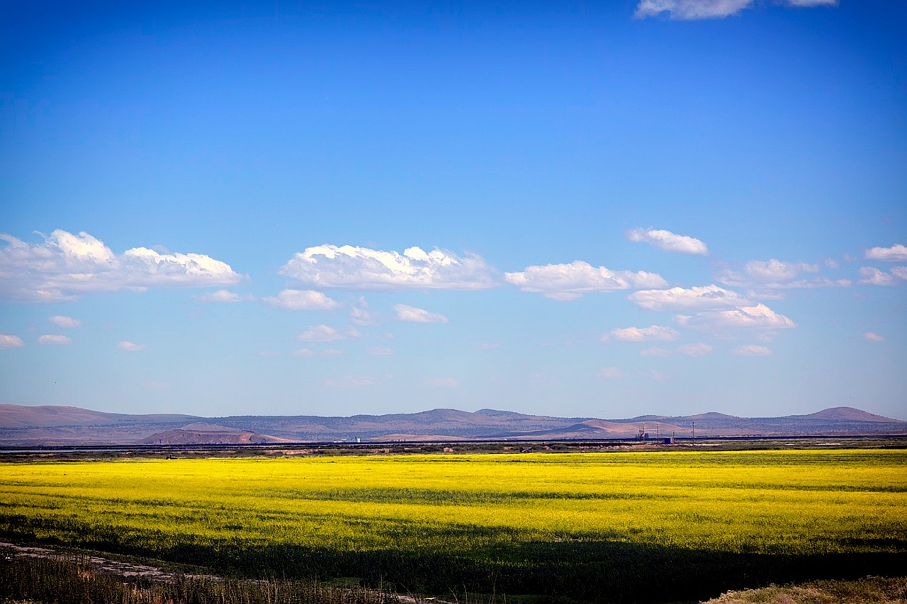 landscape tule lake refuge sky free photo